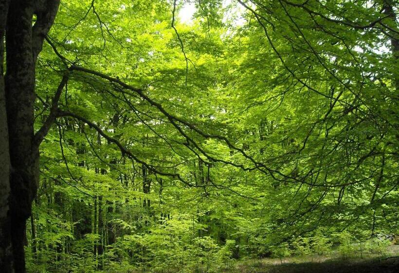 乡村酒店  Rural Loizu