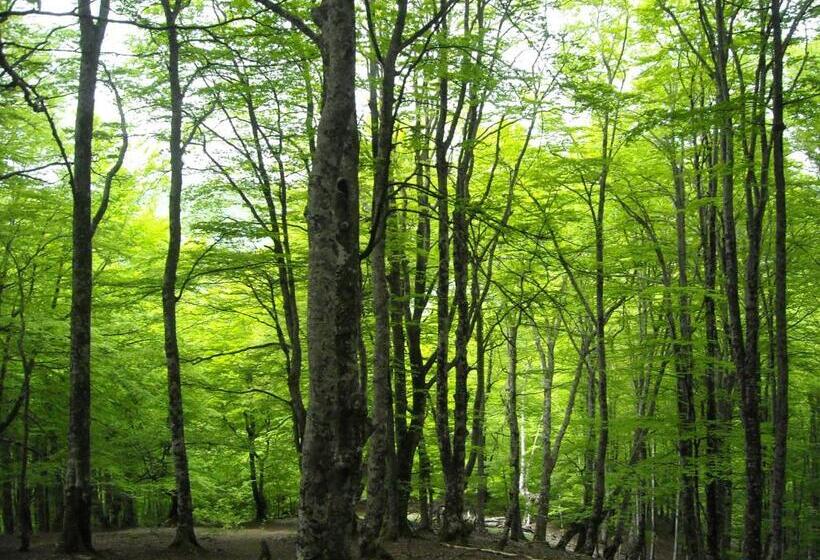 乡村酒店  Rural Loizu