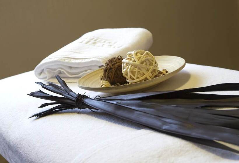 فندق Silken Ordesa