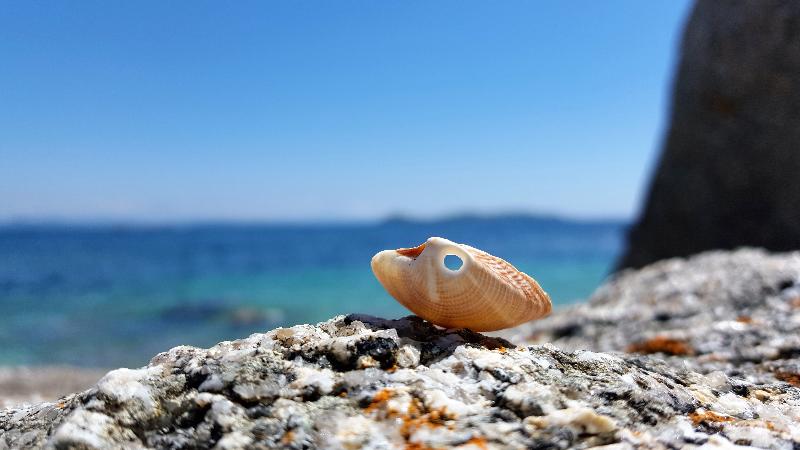 ホテル Eurostars Louxo Talaso