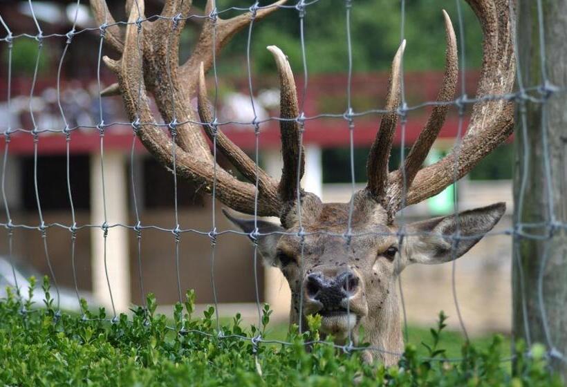 Отель Venta De Ulzama