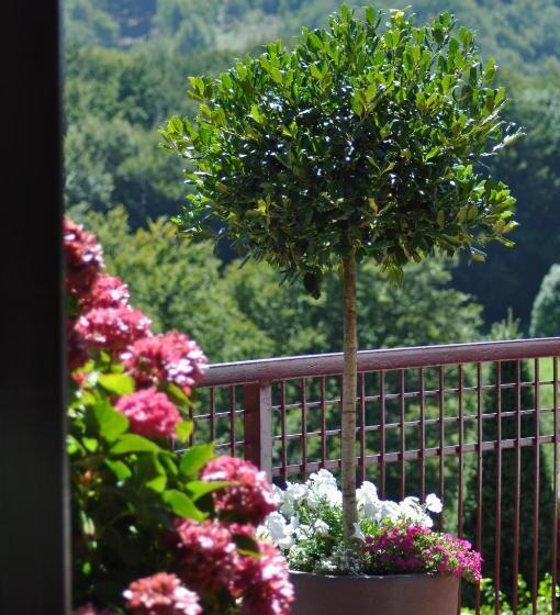 Отель Venta De Ulzama