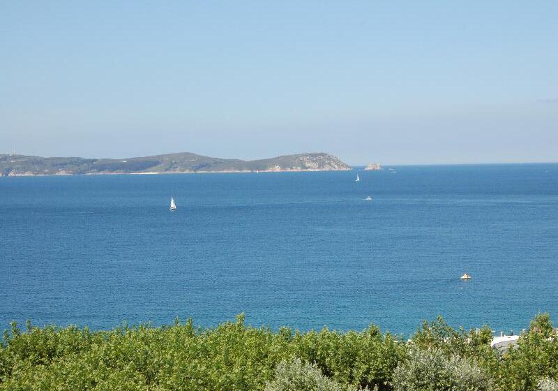 ホテル Vida Playa Paxarinas