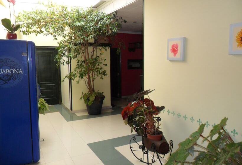 בית מלון כפרי Vimar