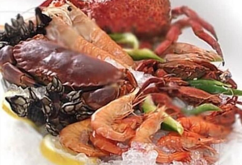 בית מלון כפרי Vimar