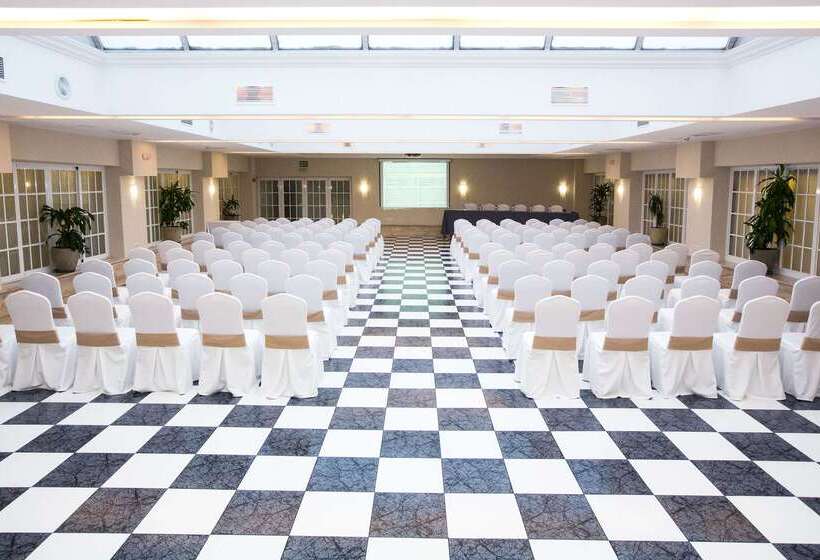 Sercotel Alfonso XIII