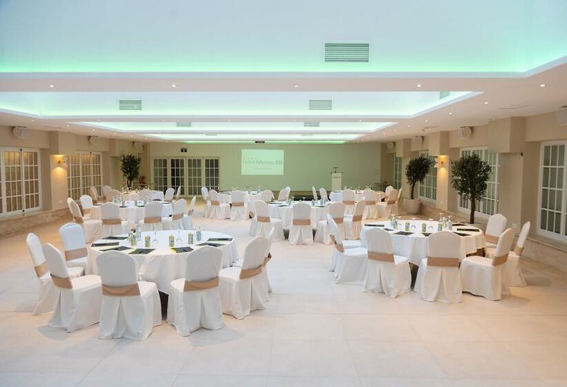 Sercotel Alfonso XIII