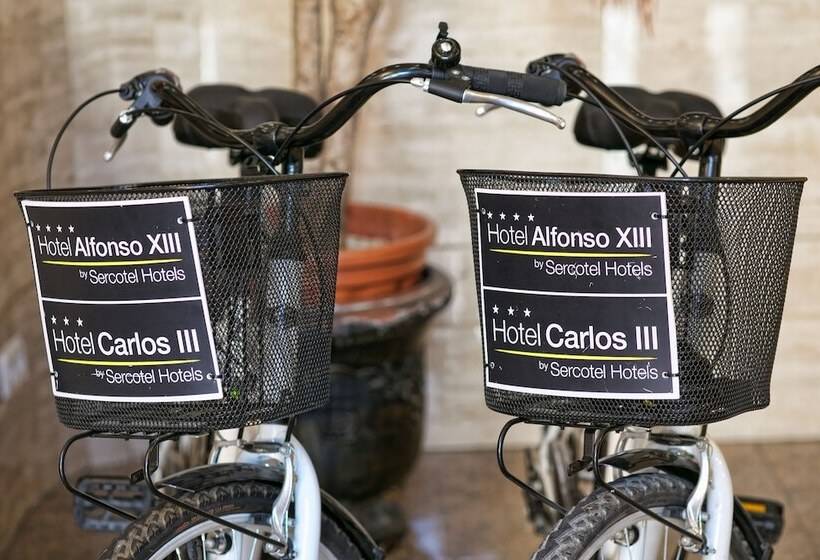 Sercotel Alfonso XIII
