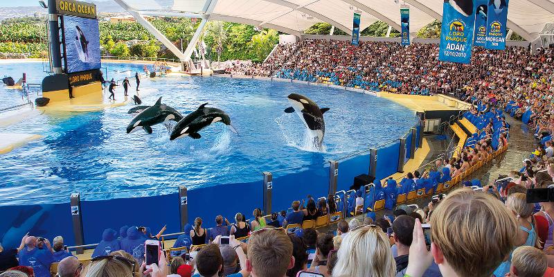 فندق Adonis Pelinor