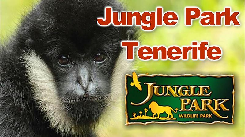 فندق Adonis Pelinor