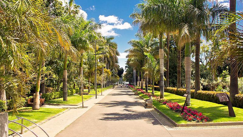 فندق Adonis Pelinor