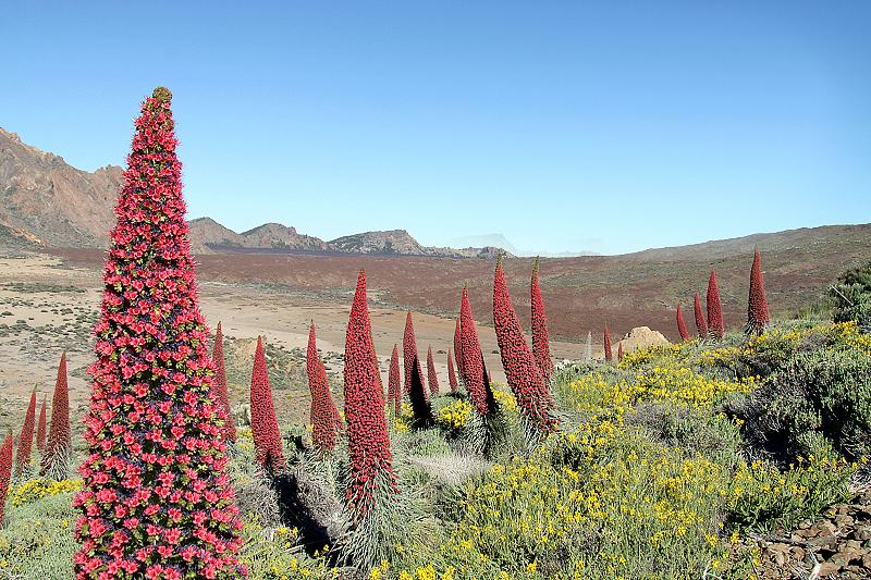 فندق Adonis Pelinor