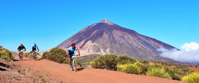 فندق Adonis Pelinor