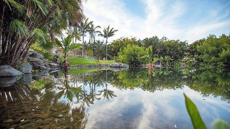 فندق Adonis Pelinor