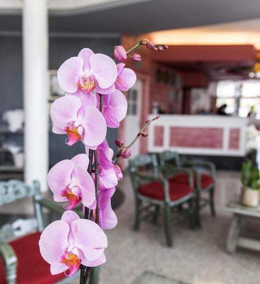 Adrián Hoteles Colón Guanahaní Adultos Only