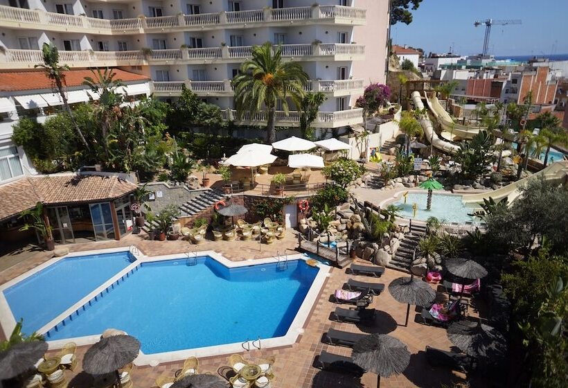 酒店 Alba Seleqtta