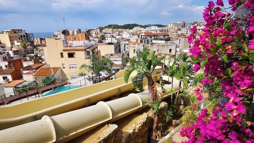 酒店 Alba Seleqtta