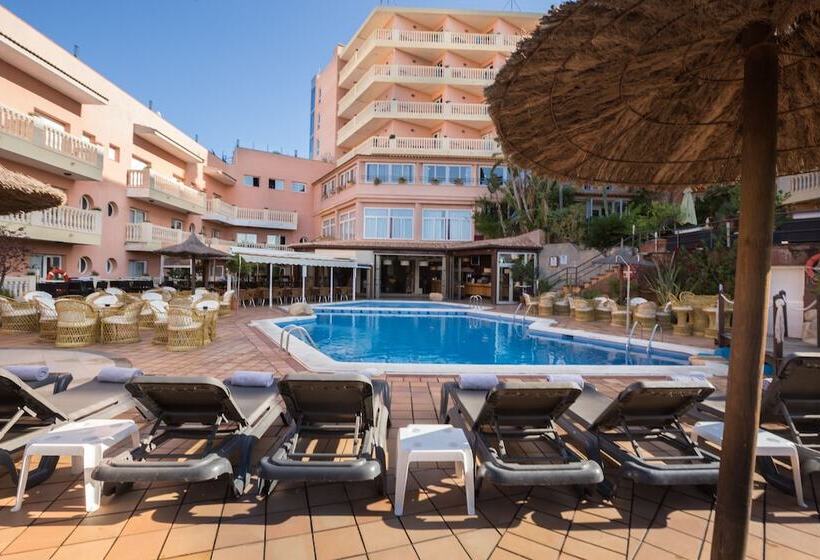 酒店 Alba Seleqtta