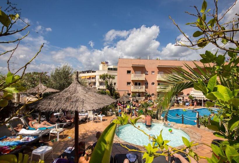 酒店 Alba Seleqtta