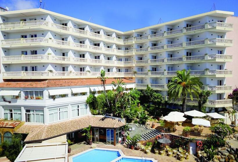 酒店 Alba Seleqtta