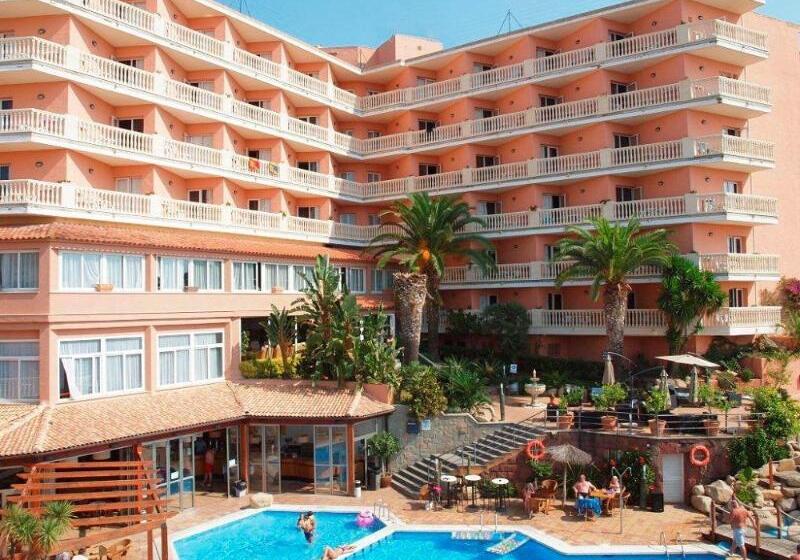 酒店 Alba Seleqtta