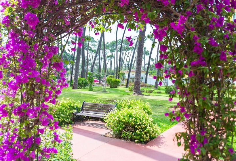 Отель Aluasun Marbella Park