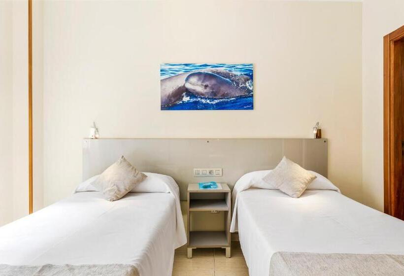 בית מלון כפרי Andrea´s