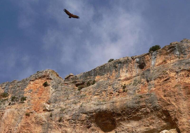 ホテル Balneario Sicilia