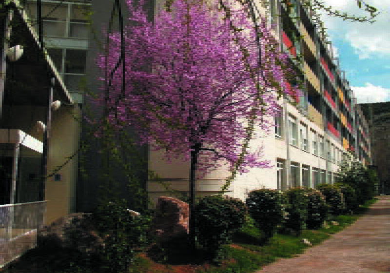 ホテル Balneario Sicilia