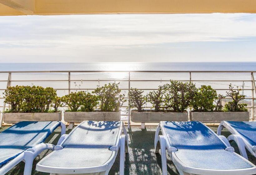 ホテル Bluesea Gran Cervantes