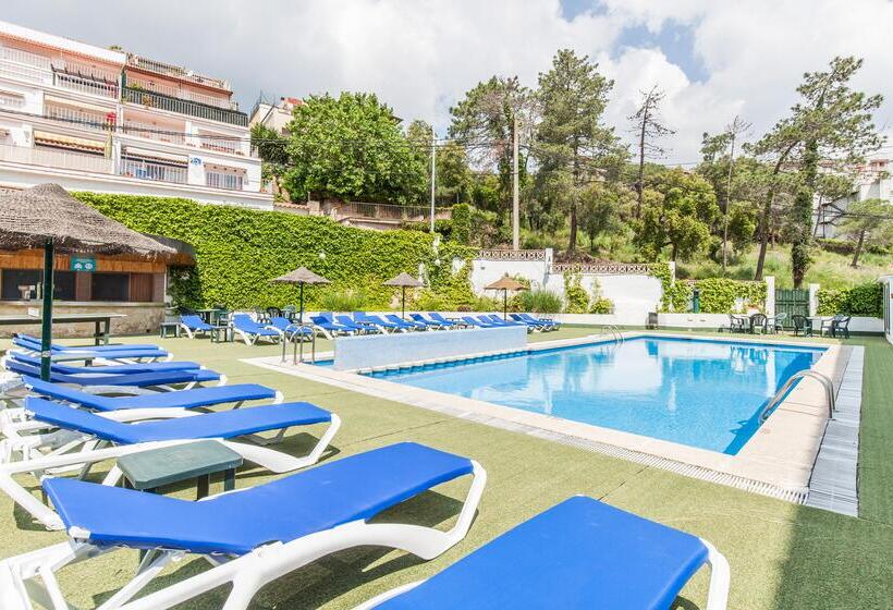 Отель Bluesea Montevista Hawai