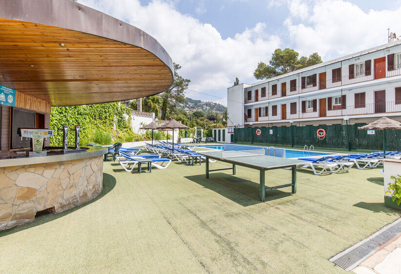 Отель Bluesea Montevista Hawai