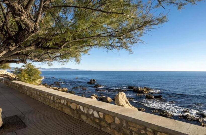 בית מלון כפרי Bonaire