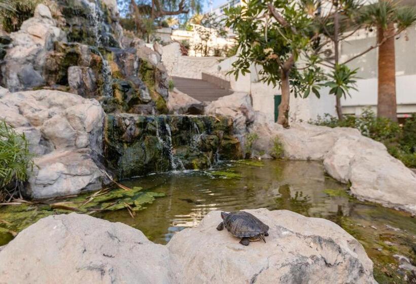 בית מלון כפרי Catalonia Punta del Rey