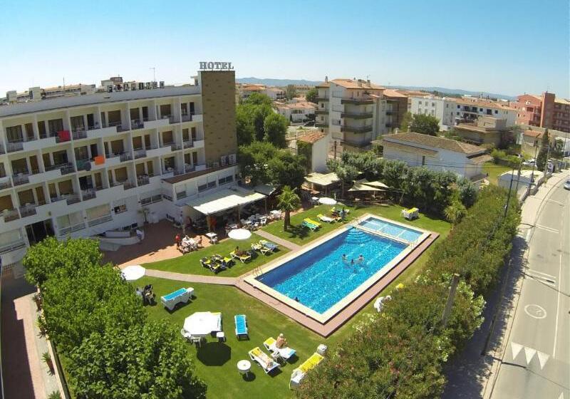 فندق Checkin Flamingo