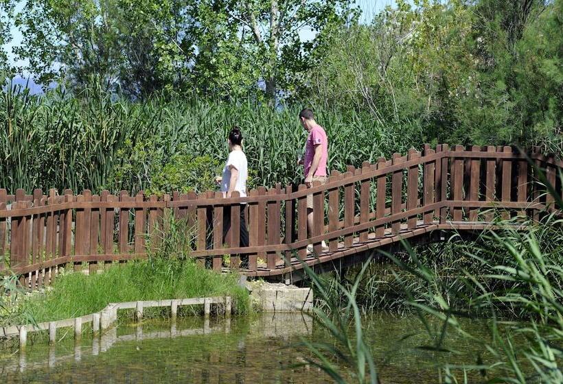 בית מלון כפרי Delta