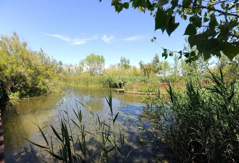 בית מלון כפרי Delta