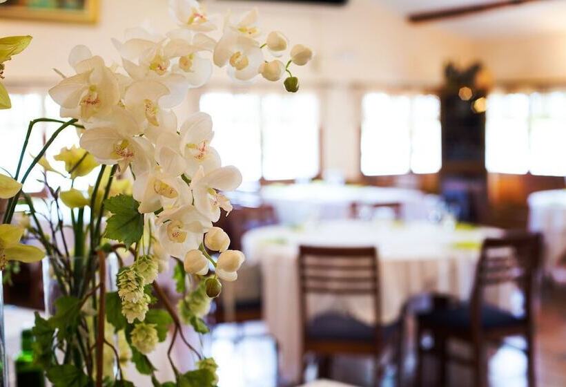 בית מלון כפרי Delta