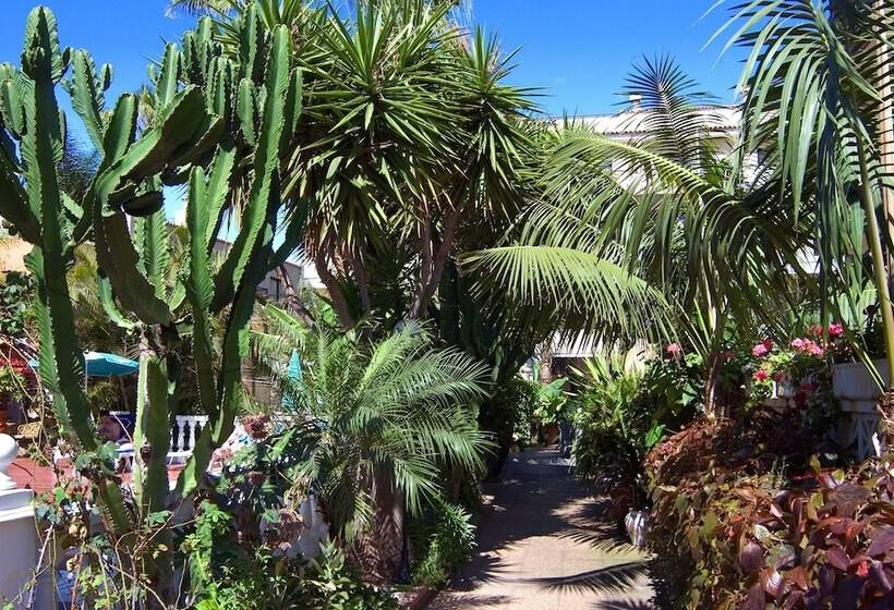 בית מלון כפרי Don Manolito