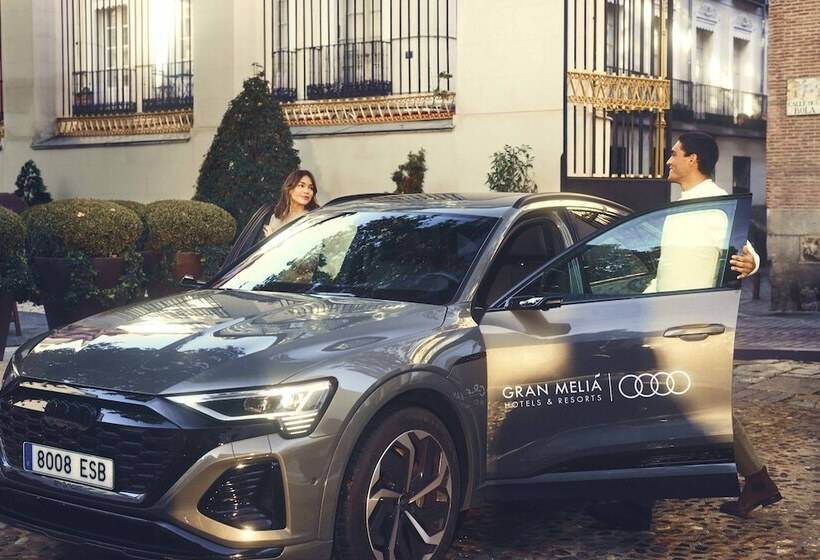 酒店 Don Pepe Gran Melia