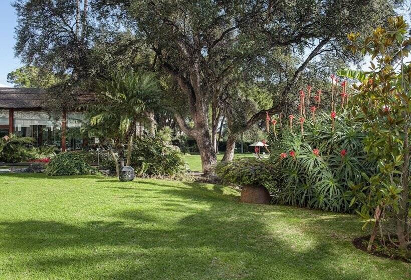 호텔 Don Pepe Gran Melia