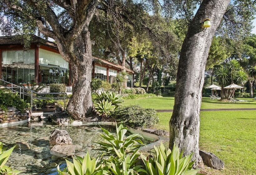 Отель Don Pepe Gran Melia