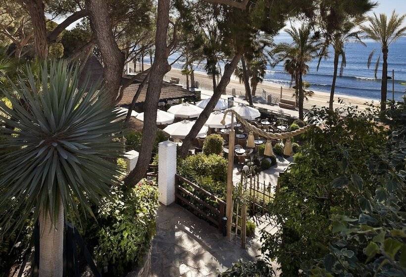 酒店 Don Pepe Gran Melia