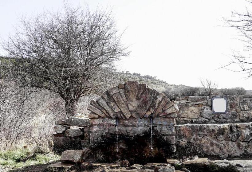 בית מלון כפרי Esther