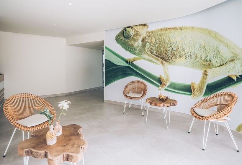 酒店 Iberostar Selection Sábila - Adults Only