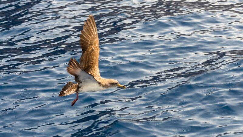 酒店 Jardin Tecina