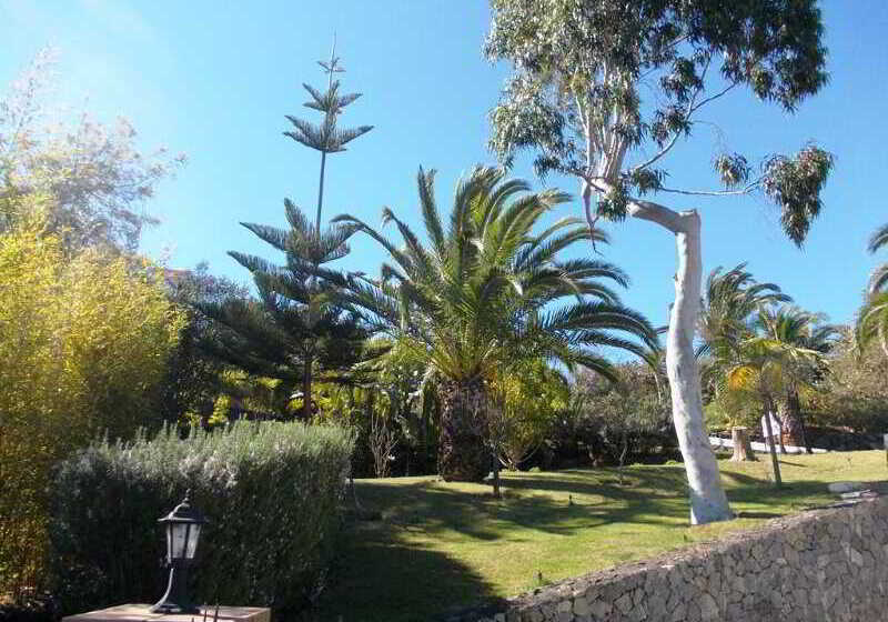 Отель La Palma Romantica