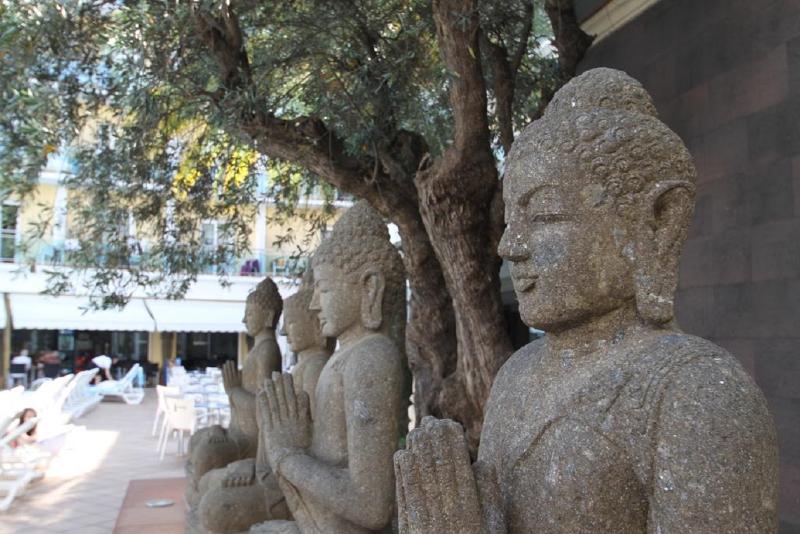 酒店 La Palmera & Spa