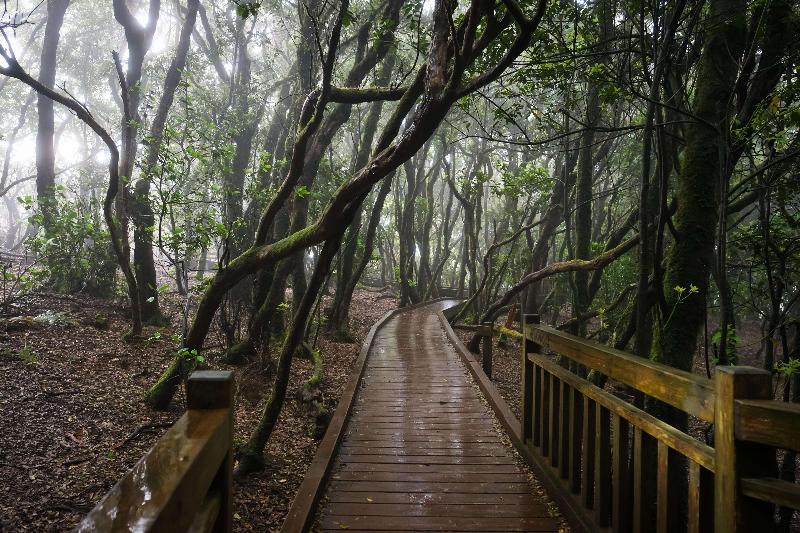 فندق Landmar Costa Los Gigantes Family Resort