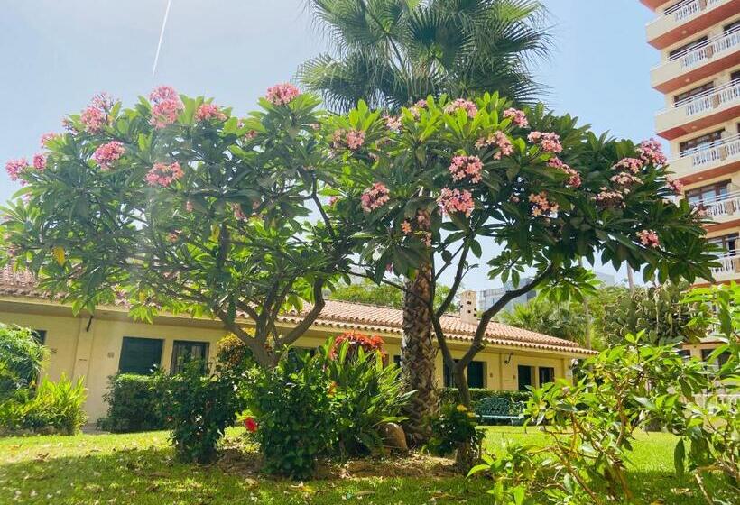 Отель Los Jazmines